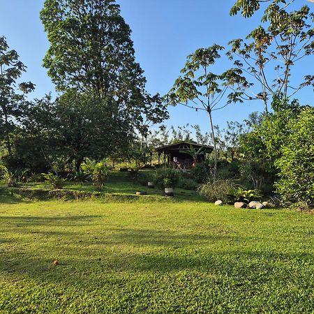 Casas De Campo Las Pavitas Cottages "Red Frog" Palma  Dış mekan fotoğraf